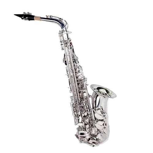 Altsaxophon Saxophon Eb Altsaxophon Silber Für Anfänger Erwachsene Mit Stoffrohrriemen Handschuhzubehör von XSQKUYN