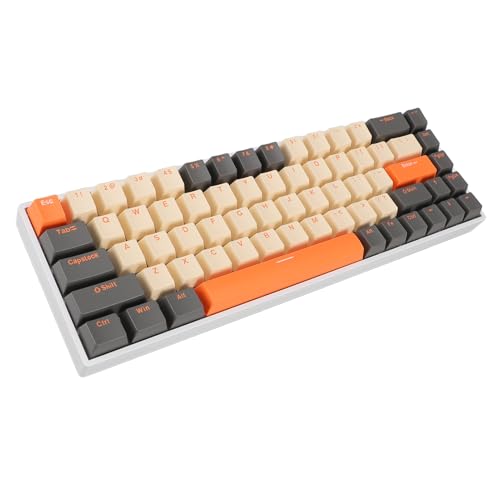 XUMIUZIY 60% Mechanische Gaming Tastatur, Dynamische RGB Gaming Tastatur mit Hintergrundbeleuchtung, 68 Tasten Kabelgebundene Mi NI Tastatur mit Rotem Schalter, Vollständige Hot Swap Taste von XUMIUZIY