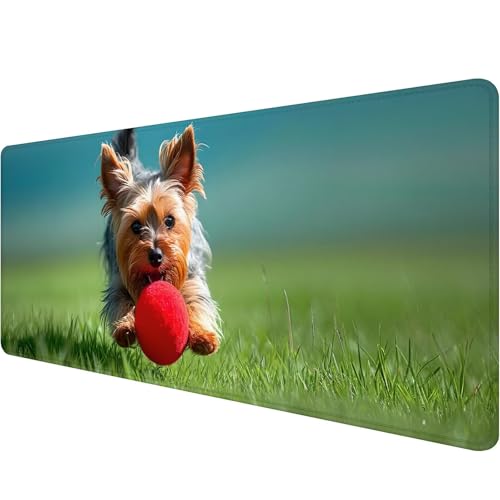 Mauspad 1000 x 500 x 3 mm Niedlich Mousepad XXL Gaming Mauspad Hund Schreibtischunterlage mit Vernähte Kanten Wasserdicht Mousepad Groß Erweiterter Schreibtisch Schutz für Home Gaming Office H-3 von Xiaonu