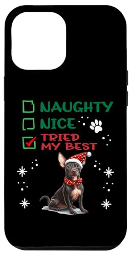 Hülle für iPhone 12 Pro Max Niedlicher Xoloitzcuintli Hund Weihnachten Naughty Nice Tried My Best von Xoloitzcuintli Christmas Dog Breed Designs