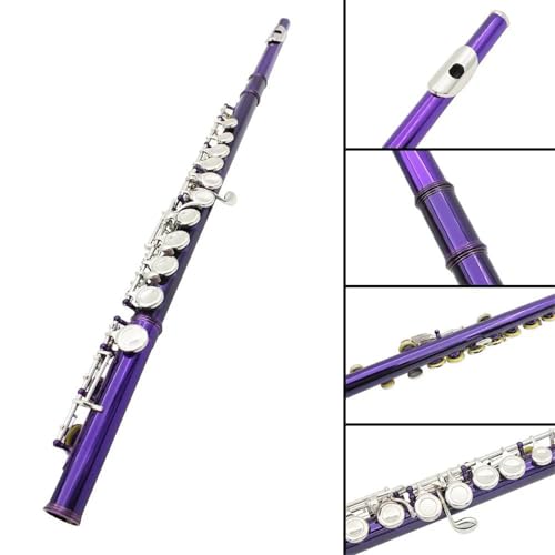 Querflöte 16 Geschlossene Offene Loch-C-Tastenflöte Professionelle Querflöte Mit E-Taste Holzblasinstrument Anfänger-Lederbox(Purple) von YDVGERTH