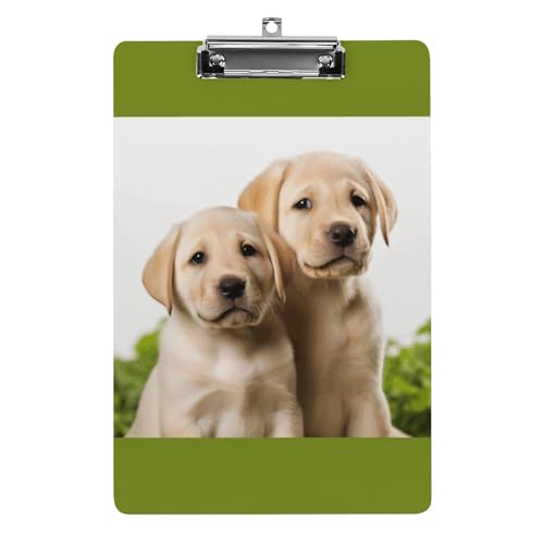 Klemmbretter Acryl Lustiger Labrador Welpe Hund Druck Klemmbrett Standard A4 Briefgröße Klemmbrett Leichtes Klemmbrett Niedliche Klemmbretter Benutzerdefiniertes Muster von YHEGBFD