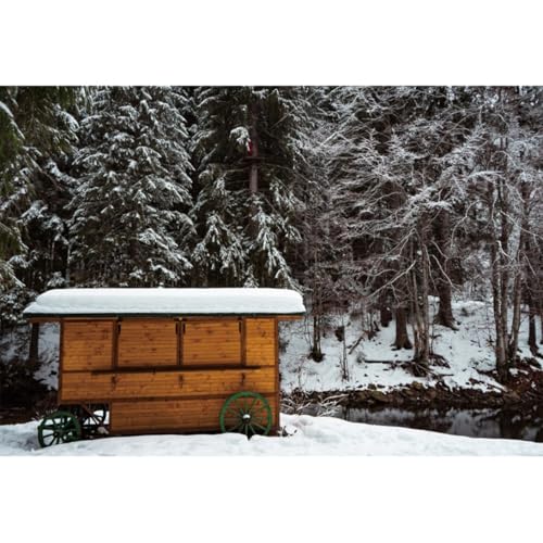 YongFoto 3x2,5m Winter Naturlandschaft Fotografie Hintergrund Schneebedeckter Wald Berg Gefrorene Kiefern Mobiler Verkaufsstand Fotohintergrund für Portraits Kinder Erwachsene Fotoshooting Studio von YONGFOTO