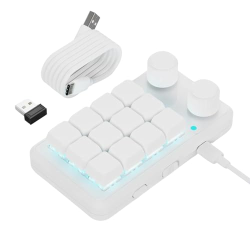 YUGSHNKFC Anpassbare Makros-Tastaturen mit 12 Tasten RGBs, Beleuchtung, zwei Reglerknöpfen, Empfänger und USB-C-Kabel von YUGSHNKFC