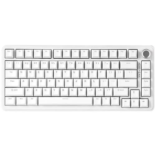 YUNZII B75 Mechanische Tastatur, 75% Hot Swappable Tastatur mit Knopf, RGB Backlit Dichtung Gaming Tastatur mit Double-Shot PBT Keycaps, Kirschprofil (White, Milk v2 linear Switch) von YUNZII