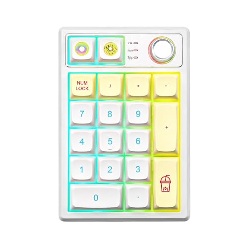 YUNZII YZ19 Drahtlose Mechanische Nummernblock, 19 Tasten Numerische Tastatur mit Knob, RGB Gasket PBT Tastaturen Hot Swap Programmierbare Tastatur, Numpad für Win/Mac/Gaming (Gateron Brown, Macaron) von YUNZII