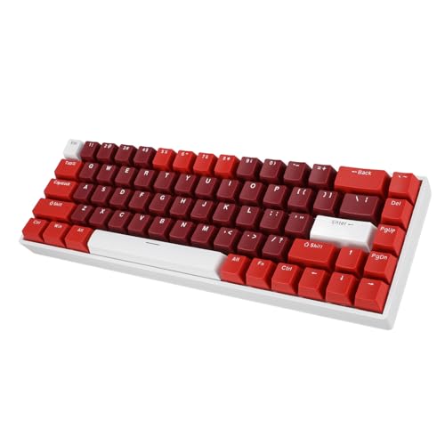 Yanmis 68 Tasten Mechanische Tastatur mit RGB-Hintergrund Beleuchtung, Kompaktem Design und Komfortabler Ergonomie. Blauer Schalter, Hot Swap Able, Weiße Unterschale von Yanmis