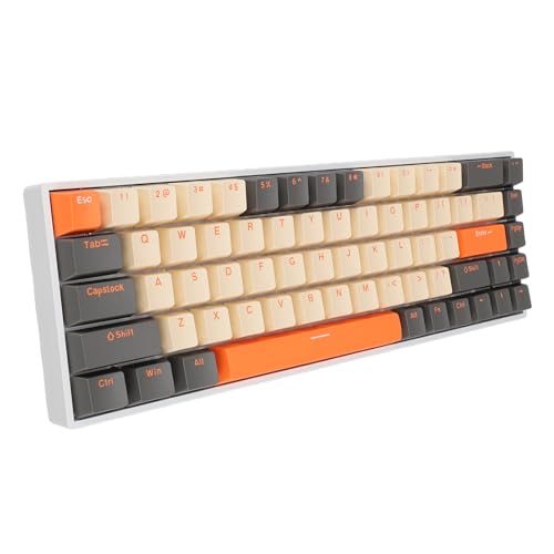 Yanmis Mechanische Gaming-Tastatur, Typ C, Kabelgebunden, 68 Tasten, RGB-Tastatur mit Hintergrundbeleuchtung und Rotem Schalter, Hot-Swap-fähige 60-Prozent-Kompakttastatur für von Yanmis