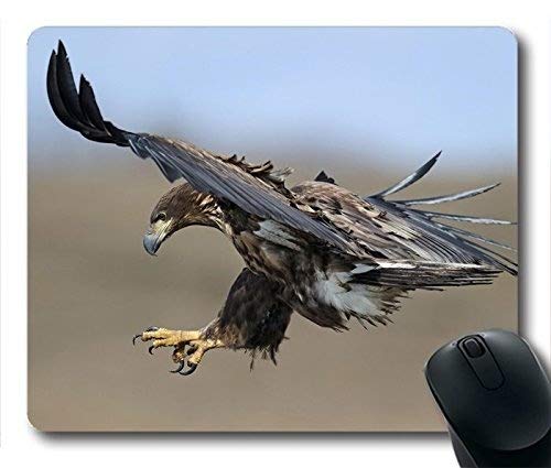 (Maus - Pads) rechteckige bierdeckel und Hawkeye individuelle Mousepad Desktop T061510 Mousepad von Notebook - Mousepad von Yanteng