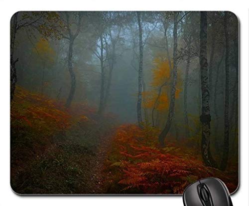 Fine dauerhafte Gemeinsame Kanten Gaming Mouse pad, EIN Mousepad Weg, Maus - Pads (Forest Mouse pad) von Yanteng