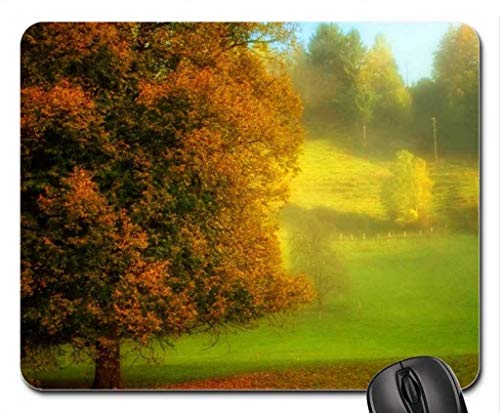 Fine dauerhafte Gemeinsame Kanten Gaming Mouse pad, Herbst - Mousepad, Maus - Pads (Forest Mouse pad) von Yanteng