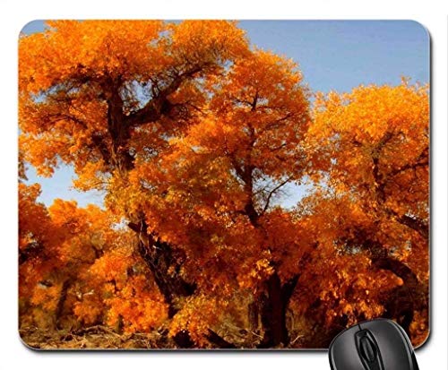 Fine dauerhafte Gemeinsame Kanten Gaming Mouse pad, am Baum - Mousepad, Maus - Pads (Forest Mouse pad) von Yanteng