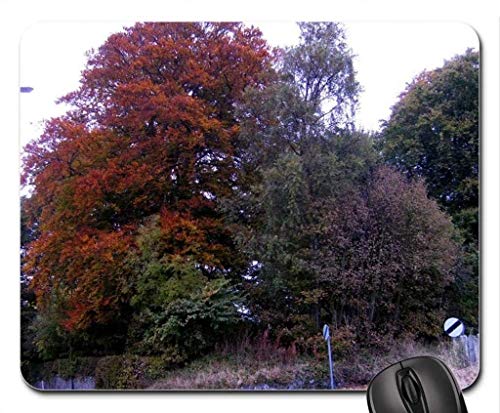 Yanteng Fine dauerhafte Gemeinsame Gaming Mouse pad, im Herbst von der Maus - Pads, Maus - Pads (Forest Mouse pad) von Yanteng