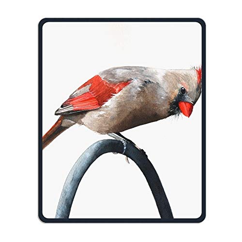 YENDOSTEEN Präzise nähte und dauerhafte aquarell vögel schafft Mousepad wasserdichte Mousepad Anti - rutsch - Basis Forschung Spielen Männer und Frauen für das Amt Mousepad von YENDOSTEEN