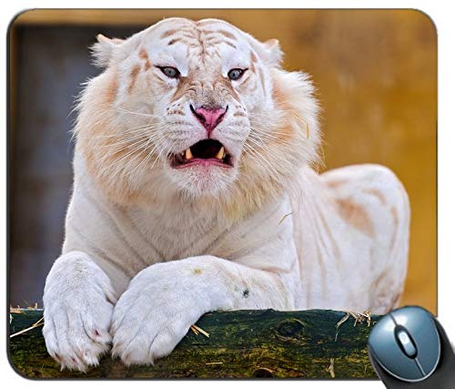 Weiße Tiger personalisierte rechteckige Mousepad, Druck - Skid - Komfort maßgeschneiderte Computer - Maus - Pads Mousepad - Mousepad von YENDOSTEEN