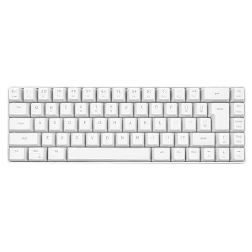 Yunseity V200 Mechanische Tastatur, Tragbare Mechanische Gaming-Tastatur, 68 Tasten, Abnehmbares Kabel, Klein für die Arbeit (White) von Yunseity