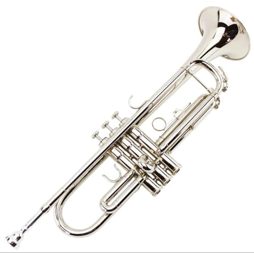 Trompeten Instrument B-Dreiton-Trompete Lack Gold Anfänger Leistungsprüfung Profi-Band Vernickelung(Color:Silver) von ZALHIN