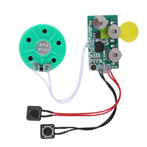 Aufnahmekarte, DIY-Grußkartenchip, Beschreibbare Weihnachtskarten, Beschreibbare Grußkarte mit 4 Minuten Aufnehmbarem Sprachsound, Chip, Sprachgrußkarte für Weihnachtskarten von ZJchao