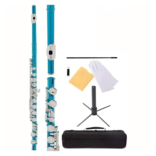 Querflöten Flöte für Anfänger 16-Tasten-Flötenmusikinstrument(Blue) von ZXFJYUIP