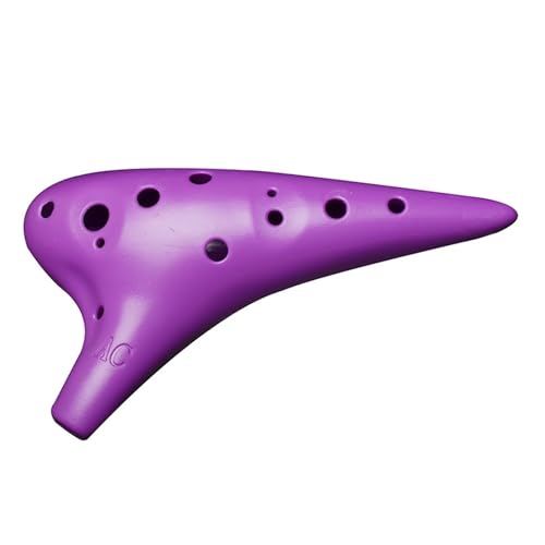 ocarina flöte Harz-Okarina 12 Löcher Alto-C-Tonart Okarina-Instrument für Anfänger(Purple) von ZXFJYUIP