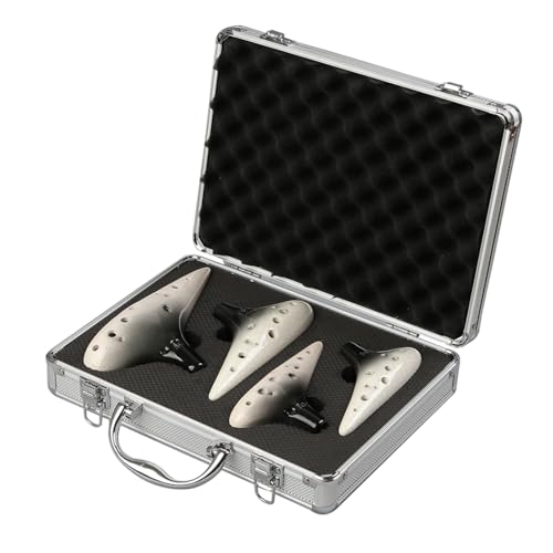 ocarina flöte Professionelles Ocarina Set mit 12 Löchern 4 teiliges Set Musikinstrument(Black) von ZXFJYUIP