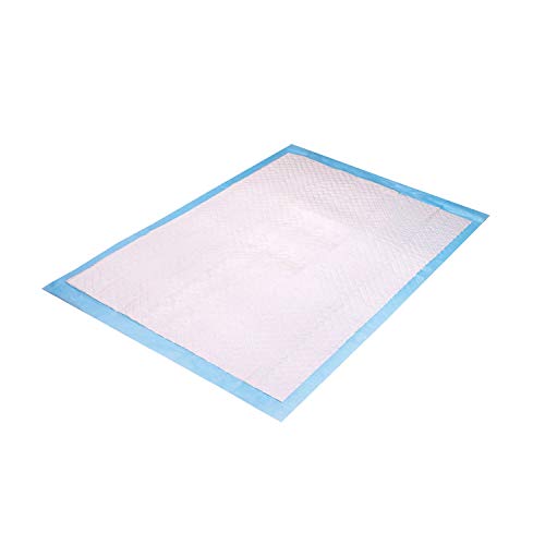 Zarys BT-PC4060 BETAtex Saugfähige Unterlage, Nicht Steril, 40 cm Länge, 60 cm Breite, Weiß Blau, 25 Stück Zarys BT-PC4060 BETAtex Saugfähige Unterlage, Nicht Steril, 40 cm Länge, 60 cm Breite, Weiß Blau, 25 Stück von Zarys