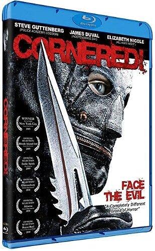 Cornered [Blu-ray] von Zylo