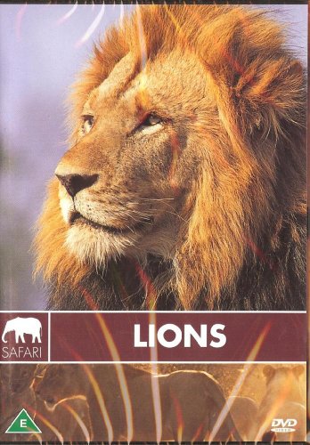 LIONS - SAFARI NEW DVD -5706150666275 (1 CD)