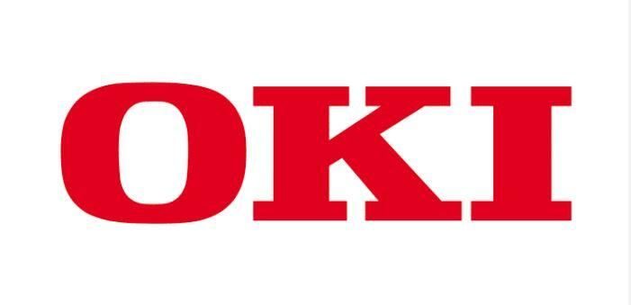 OKI Druckserver für OKI C650DN, C650(Wireless)(45830222)