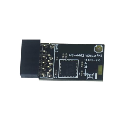 bnsggl TPM 2.0 12Pin Verschlüsselung Sicherheitsmodulplatine Fernbedienung TPM2.0 12Pin Motherboards Karte von bnsggl