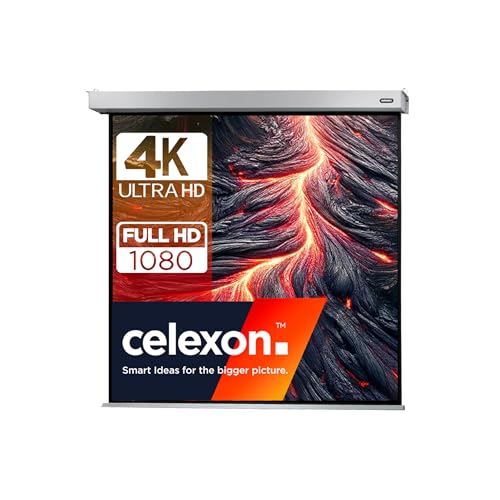 135" Zoll Motor-Leinwand celexon Professional Plus 1:1 | 240x240 cm | 4K Full HD 3D | elektrisch, mit Fernbedienung; für Büro- & Heimkino-Projektionen mit Ihrem Beamer | zur Decken-/ Wand-Montage von celexon