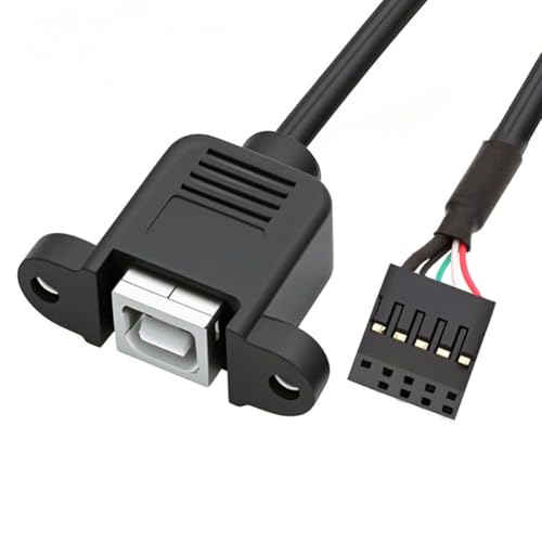 chenyang USB 2.0 Frontpanel Header 9/10 poliger Stecker auf USB 2.0 Typ-B Buchse Mainboard Header Port Verlängerungskabel Adapter 1,4Fuß/0,5m von chenyang