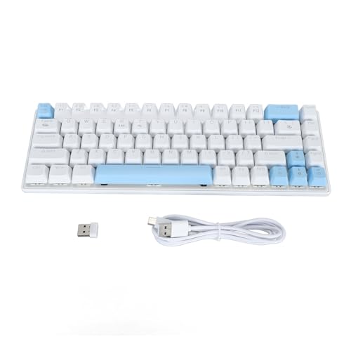 ciciglow Mechanische Gaming-Tastatur, BT5.0/2,4 G/USB C Computer-Tastatur, Blaue Schalter, RGB-Hintergrundbeleuchtung, Kompakte 61-Tasten, Kabellose Bürotastatur für Smartphone, ciciglow Mechanische Gaming-Tastatur, BT5.0/2,4 G/USB C Computer-Tastatur, Blaue Schalter, RGB-Hintergrundbeleuchtung, Kompakte 61-Tasten, Kabellose Bürotastatur für Smartphone, von ciciglow