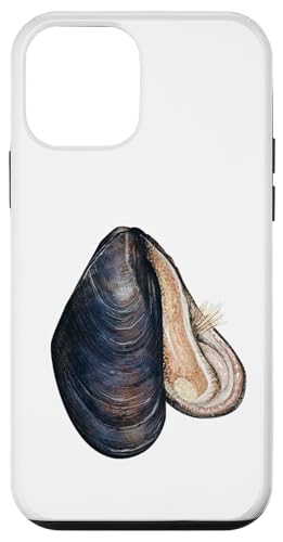 Muscheln Meeresfrüchte Hülle für iPhone 12 mini von es designs