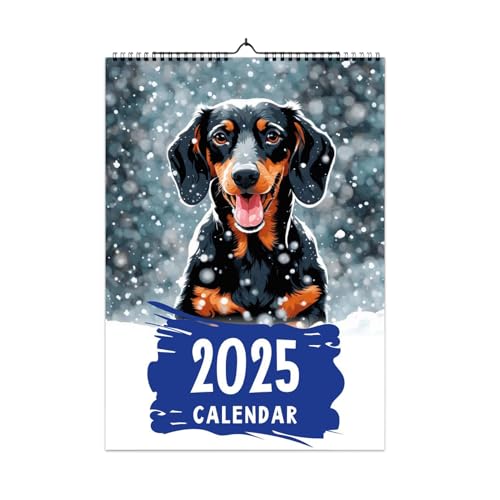 Dackel-Kalender 2025, Hunde-Kalender 2025, Dackel-Wandkalender 2025, Wandplaner 2025, lustiger 12-Monats-Kalender für Heimdekoration, 21,6 x 27,9 cm von itrimaka