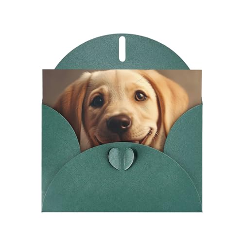 jingong Grußkarten-Set mit süßem Labrador-Hunde-Druck, festliches Grußkarten-Set, 10 x 15 cm, blanko, für alle Anlässe von jingong