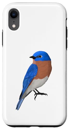 Hülle für iPhone XR Bluebird Vogel Vogelbeobachter Gartenvogel Biologe Tier von jz.birds