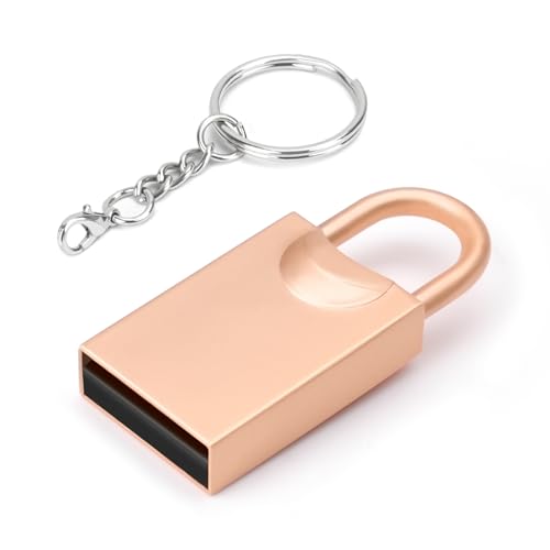 LEIZHAN USB 3.0 Flash Drive, Mini-USB-Flash-Laufwerk, USB-Flash-Laufwerk fürs Auto, USB-Flash-Laufwerk mit Schlüsselanhänger für PC, Laptop usw. (64GB, Gold Locks) von leizhan