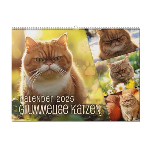 Kalender 2025 - Grummelige Katzen - DIN A4 - Der Wandkalender zum Lieblingstier - Hängekalender für Katzenliebhaber - Kreativer Fotokalender und Geschenkidee von merkwürdig