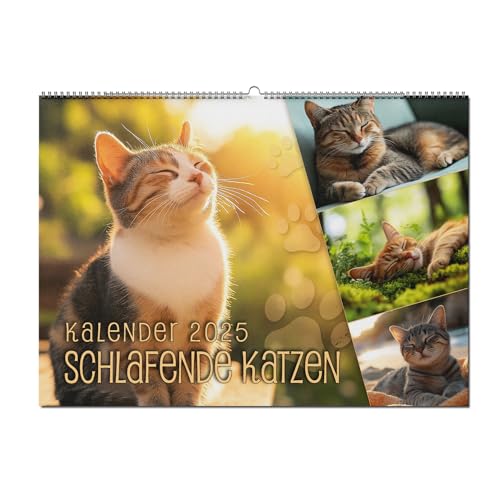 Kalender 2025 - Schlafende Katzen - DIN A4 - Der Wandkalender zum Lieblingstier - Hängekalender für Katzenliebhaber - Kreative Geschenkidee von merkwürdig