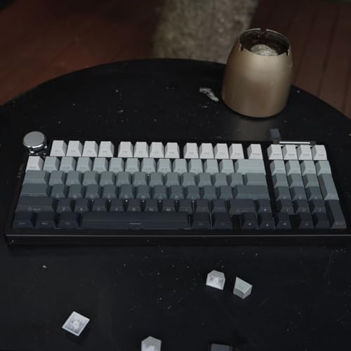 PBT Doubleshot Tastenkappen mit Hintergrundbeleuchtung, Farbverlauf, grau, 129 Tasten, benutzerdefinierte Seitendruck-Tastenkappen für 60% 65% 75% Cherry Gateron MX Switches mechanische Tastatur von mintcaps