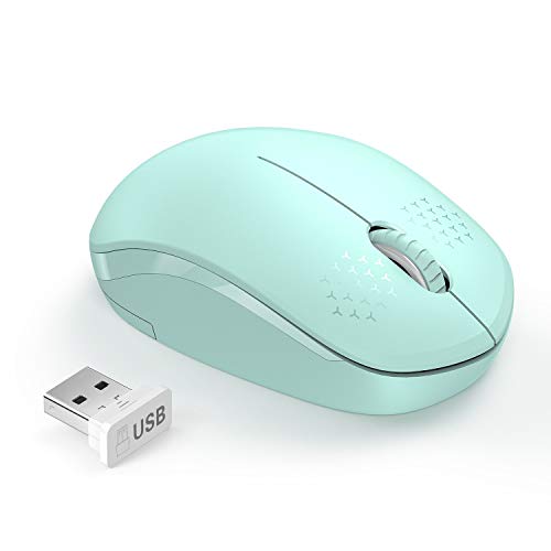 seenda Maus kabellos, 2,4G USB Funkmaus für Laptop/Computer, leise Klicken und 1600 DPI Optischer Sensor, 3 Tasten(Grün) von seenda