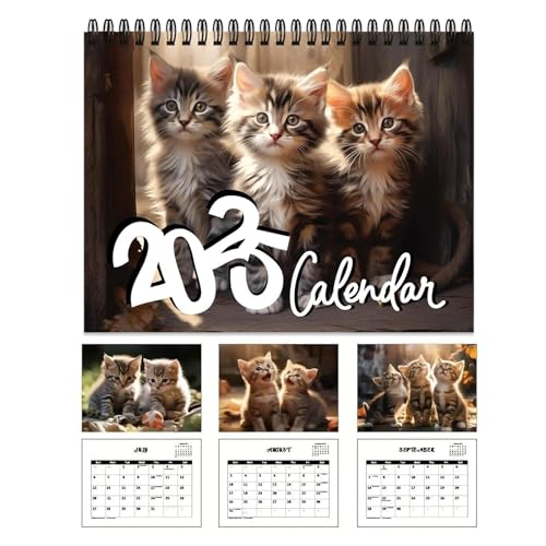 Lustiger Katzenkalender 2025, 12-Monatskalender 2025, Monatsansicht, Wandkalender 2025, Wandkalender, Planungskalender, Familienplaner, Wanddekoration, Katzen-Hängekalender für Katzenliebhaber von shpuuyy