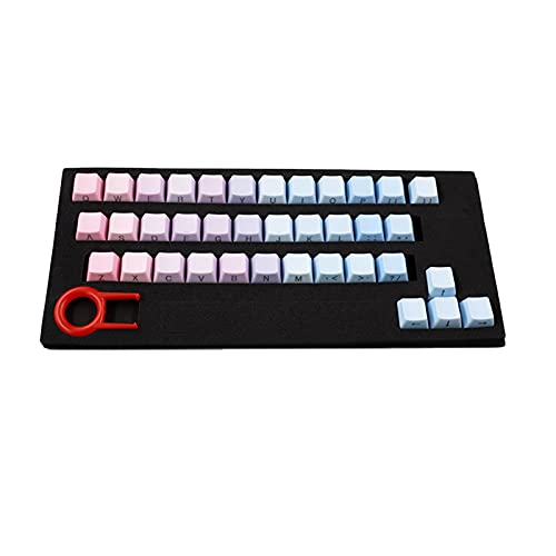 strimusimak Keycaps Mechanische Tastatur-Ersatzkappen, Farbverlauf, Hintergrundbeleuchtung, PBT 37 Tasten, pink-blau für Computer Laptop Ersatz C von strimusimak