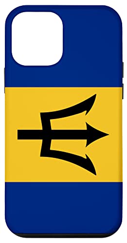 Hülle für iPhone 12 mini Flagge von Barbados von sunken flagship