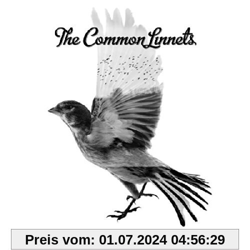 The Common Linnets von the Common Linnets