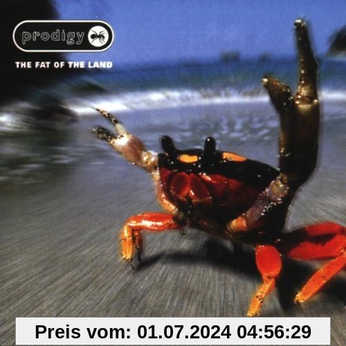 The Fat of the Land von the Prodigy