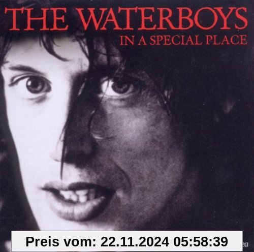 In a Special Place (the Piano von the Waterboys