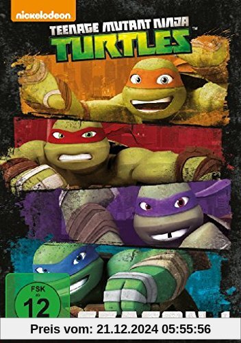 Teenage Mutant Ninja Turtles - Season 1 [4 DVDs] von unbekannt