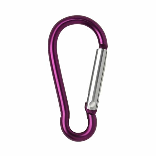 5/10/50/100 Stück Aluminium-Karabiner-Schlüsselanhänger-Clip für Outdoor-Camping, Schlüsselanhänger, Karabinerhaken, Wasserflaschen-Schnallen-Set, Kletterzubehör, 10 Stück, Lila von wejiay